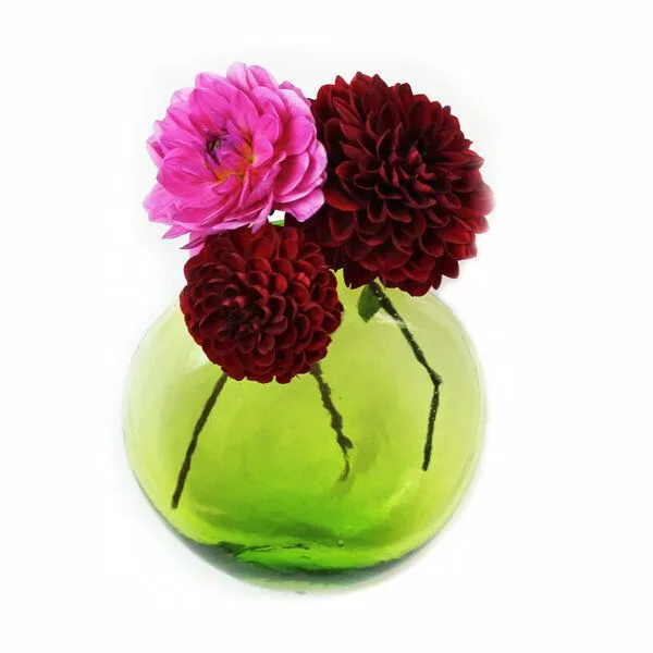 Mitienda Shop Mitienda Shop Blumenvase zum Aufhängen, Wanddeko Anfora, Grün, – Produktbild 1 von 4