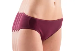 HERMKO Midislip 1031 (Pack, 4er) Bio-Baumwolle Jazz-Pant Form Übergröße weich, elast. Abschluss basic – Produktbild 1 von 1
