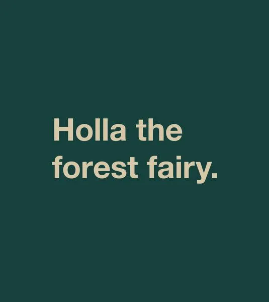 Gary Mash GARY MASH Shirt Asheville Holla the forest fairy. aus Bio-Baumwolle, Dunkelgrün (grün), – Produktbild 3 von 4