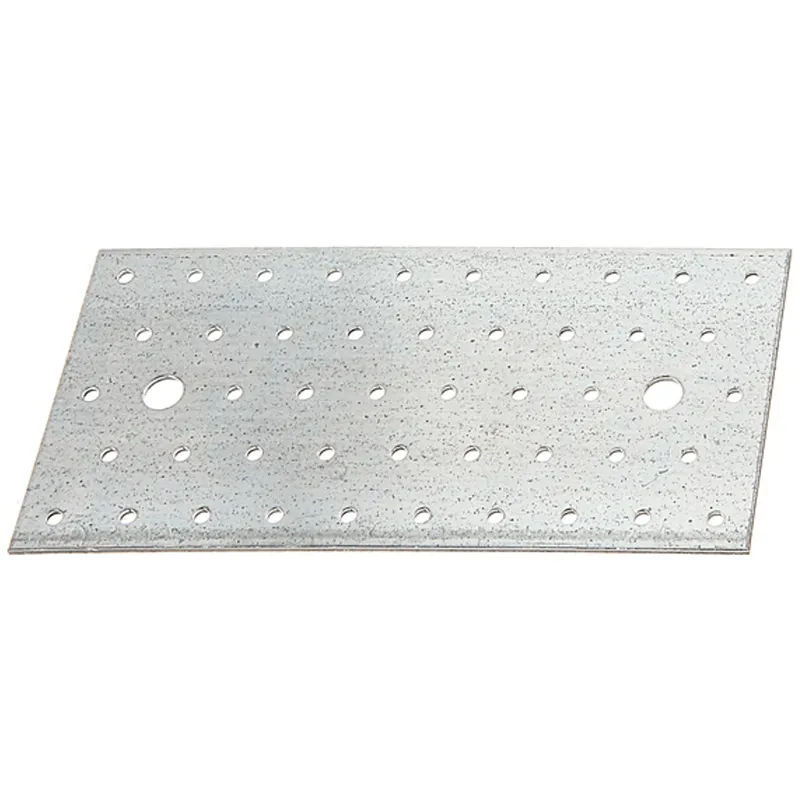 Alberts ALBERTS Lochplatte, sendzimirverzinkt, LxB 200x100 mm, PRO – Produktbild 1 von 1