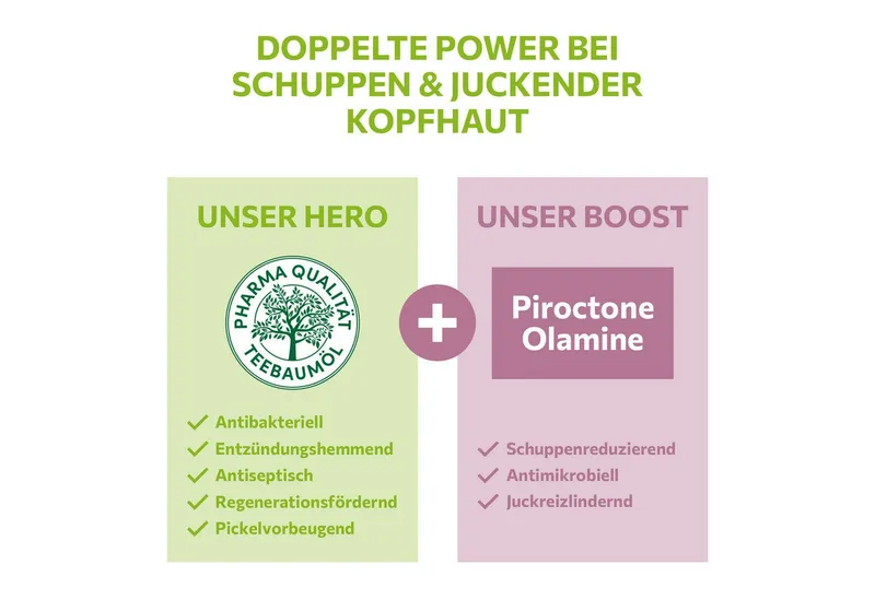 Alkmene Alkmene Haarshampoo Teebaumöl Anti Schuppen Shampoo weniger Schuppen in 2 Wochen - vegan, 1-tlg. – Produktbild 3 von 5