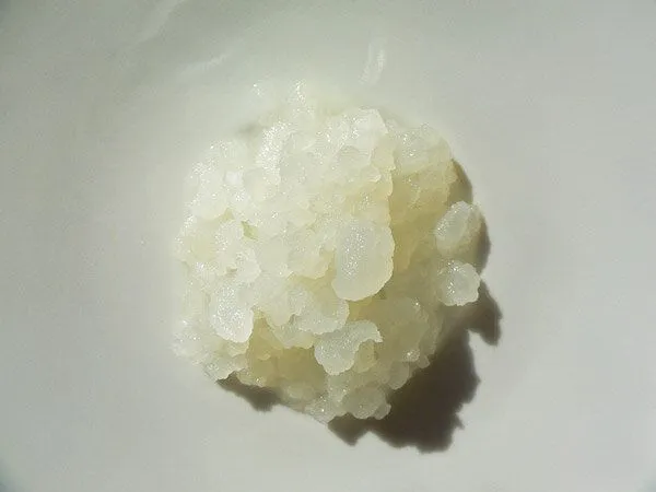 Wellness-Drinks Wasserkefir - Komplettpaket für 2,5 Liter: Bio Wasserkefir mit Zubehör – Produktbild 3 von 4