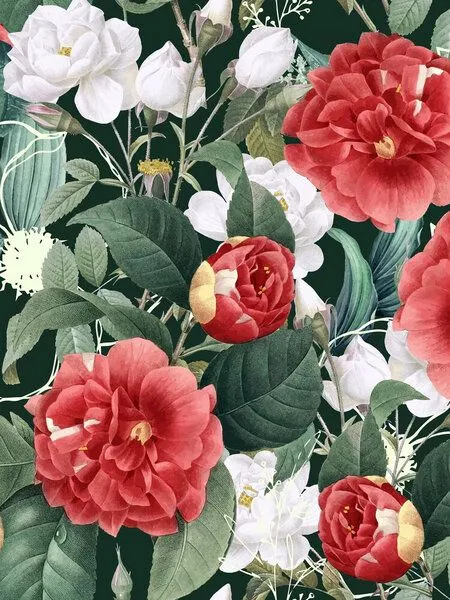 Photocircle Photocircle Poster / Leinwandbild - Botanical Wonder – Produktbild 1 von 4