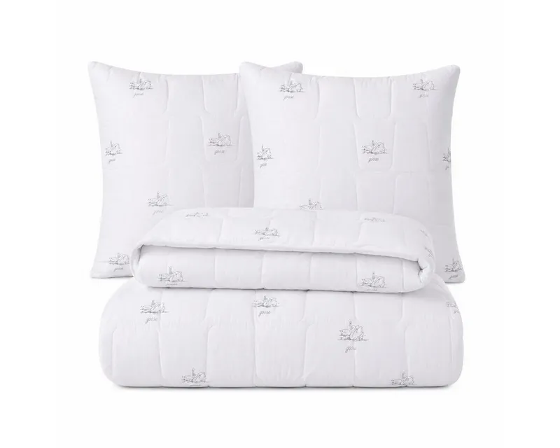 SEI Design Microfaserbettdecke Bettset SWAN 4-tlg 2x Winter-Bettdecken 135x200 + 2x Kissen 80x80, Füllung: daunenähnliches Gefühl, Bett-Set 4-Tlg.: 2x Bettdecken 135x200 + 2x Kissen 80x80, Weiß, – Produktbild 1 von 5