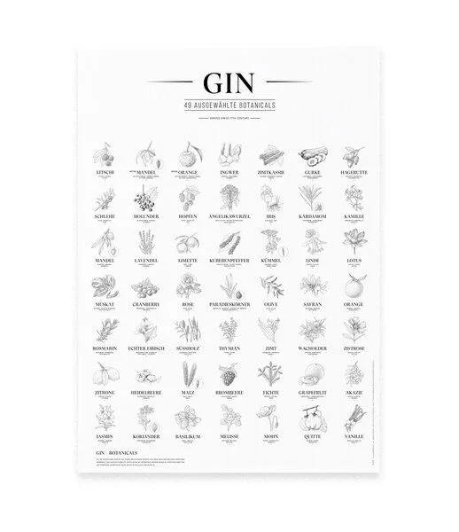531 Rheinland Design 531 Rheinland Design Gin Plakat, 49 ausgewählte Kräuter Botanicals Gin Aromen als Poster – Produktbild 4 von 5