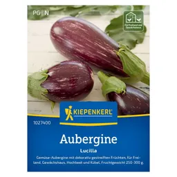 Kiepenkerl Kiepenkerl Auberginensamen, Aubergine 'Lucilla' – Produktbild 1 von 1