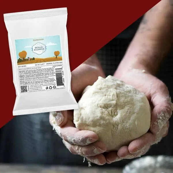 Bacillus Bulgaricus Sauerteig-Starterkultur für echten Sauerteig (2er-Pack) – Produktbild 4 von 4