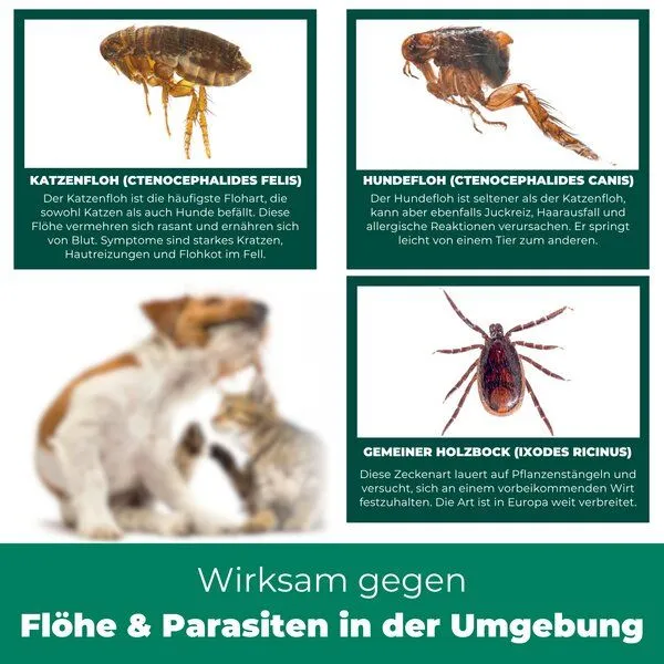 Silberkraft Silberkraft Flohspray Textil & Umgebung inkl. E-Book – Produktbild 4 von 4