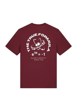 TORLAND Torland T-Shirt Euler's Identity True Generation – Produktbild 1 von 1