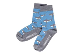Fräulein Prusselise Kinder Socken Hai "Shark" Gr.23-26 – Produktbild 1 von 1