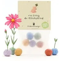 Die Stadtgärtner Die Stadtgärtner 5 bunte Blumenmurmeln im Tütchen mit Wildblumensaatgut | Für Prüfungen, Neuanfänge & Erfolgswünsche – Produktbild 1 von 1