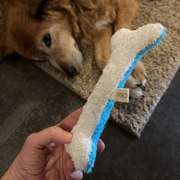 mio eco mio eco Hochwertiges Upcycling Hundespielzeug aus Hotel-Handtüchern zero waste türkis-weiss – Produktbild 2 von 3
