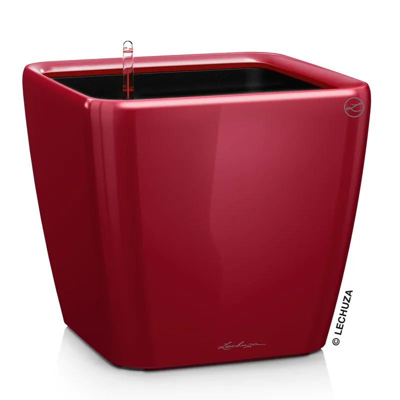 Lechuza® Lechuza® 'Quadro LS 28', scarlet-rot, ca. 28 x 28 x H 26 cm, Rot, – Produktbild 1 von 1