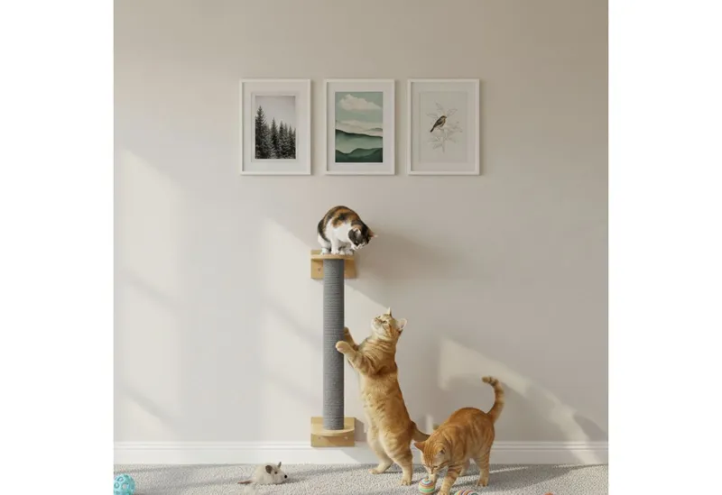 eyepower Kratzbaum zur Wandmontage - 66 cm Wandkratzbaum für Katzen - Sisal Kratzstamm, Sisalstamm Wand - Katzenkratzbaum platzsparend - Kletterwand Katze, Grau, – Produktbild 1 von 5
