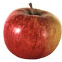 Deutschland ÃÑpfel Topaz – Produktbild 1 von 1
