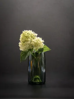 MaBe MaBe Vase aus der Champagner Flasche – Produktbild 1 von 1
