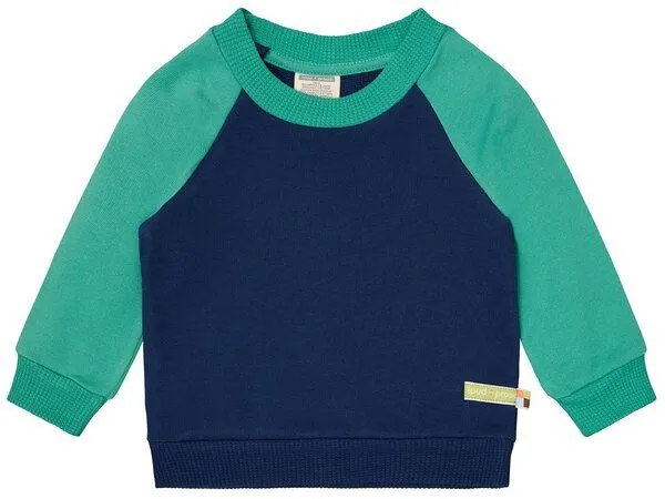loud + proud loud + proud Babys & Kinder Sweatshirt mit Raglanärmeln, GOTS-zertifiziert, Ultramarine/plant(blau/grün), – Produktbild 1 von 4