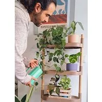 CitySens CitySens Blumenregal mit 6 Ablagen, Rinde, – Produktbild 1 von 1