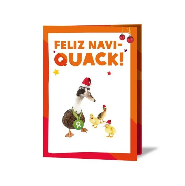 OxfamUnverpackt OxfamUnverpackt Spenden-Geschenk "Entenfamilie" (Weihnachtskarte mit Magnet) – Produktbild 2 von 2