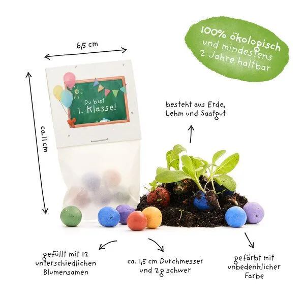 Die Stadtgärtner Die Stadtgärtner 5 bunte Blumenmurmeln im Tütchen mit Wildblumensaatgut | Geschenkidee zur Einschulung, Schulanfang, für Schultüte | "Du bist 1. Klasse" – Produktbild 4 von 4