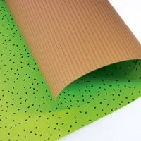 Bow & Hummingbird Bow & Hummingbird Geschenkpapier Kiwi – Produktbild 1 von 1