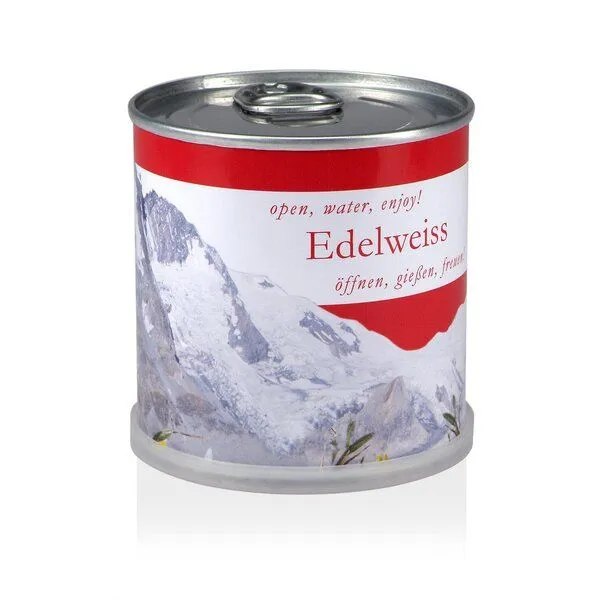 MacFlowers MacFlowers Pflanzen in der Dose - Edelweiss Österreich – Produktbild 1 von 4