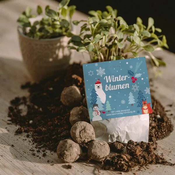 Ideenverlag Hamburg Ideenverlag Hamburg 10 „Winterblumen“ Samenbomben im Tütchen mit Kaltkeimer-Saatgut – Produktbild 2 von 6