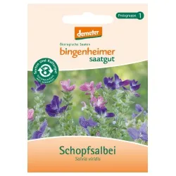 Bingenheimer Saatgut Schopfsalbei – Produktbild 1 von 1