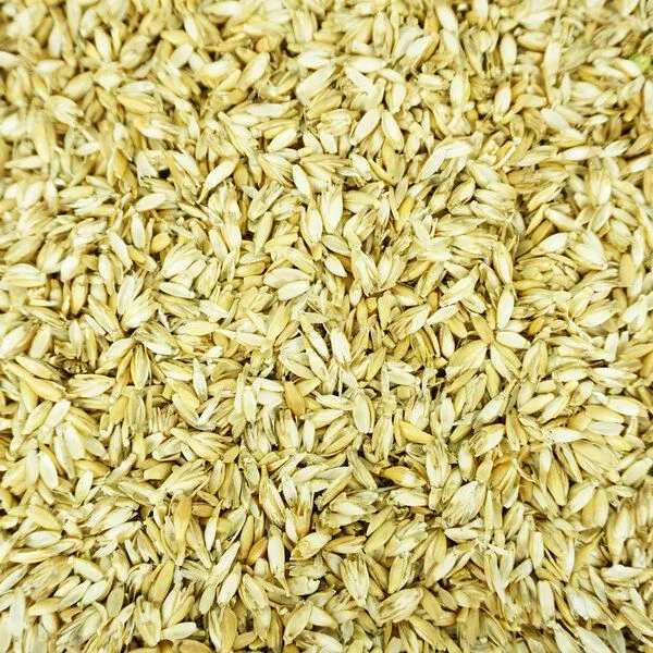 Burst Burst Wärmekissen/ Kühlkissen - Überzug inklusive Kisseneinlage, Epigeal (senf-gelb), – Produktbild 2 von 6