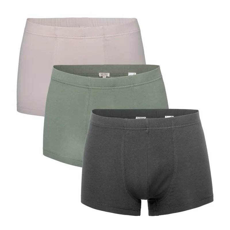 Living Crafts Living Crafts - Herren Pants, 3er-Pack (95% Bio-Baumwolle; 5% Elasthan), Mehrfarbig, – Produktbild 4 von 8
