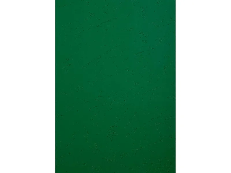 Exacompta 100 Exacompta Eindbanddeckel "Forever", 270 g/m², DIN A4, dunkelgrün – Produktbild 1 von 1