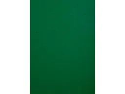 Exacompta 100 Exacompta Eindbanddeckel "Forever", 270 g/m², DIN A4, dunkelgrün – Produktbild 1 von 1