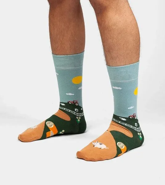DillySocks DillySocks Socken Farmer's Finest aus Biobaumwoll-Mix, Mehrfarbig, – Produktbild 3 von 4