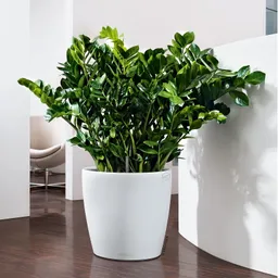 Lechuza® Lechuza® 'Classico Color 43', weiß, ca. Ø 42 x H 39,5 cm – Produktbild 1 von 1