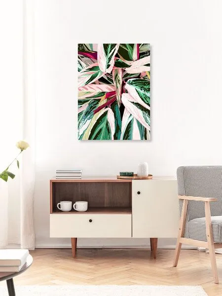Photocircle Photocircle Poster / Leinwandbild - Tropical Variegated Houseplant – Produktbild 3 von 4