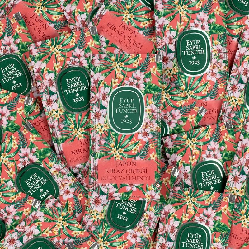 Eyüp Sabri Tuncer Eyüp Sabri Tuncer Japanische Kirschblüte Hand-Desinfektionsmittel (Packung, [150-St. Japanische Kirschblüte, Eyüp Sabri Tuncer, Desinfektion) – Produktbild 2 von 2