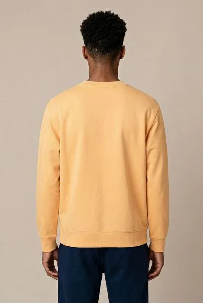 THE FACE OF ELEMENTS The Face of Elements Color Rush - Regular Fit Sweatshirt aus 100% Bio-Baumwolle, Easy amber (gelb), – Produktbild 4 von 4