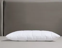 fan Microfaserkissen Komfort Plus, Füllung: 100% Polyester, Bezug: 100% Polyester, leichtes, weiches Kissen – Produktbild 1 von 1