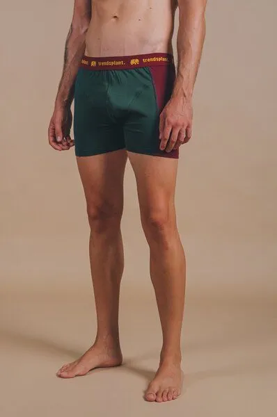 Trendsplant Trendsplant Organic Essential Boxer Briefs Color Block, Bunt, – Produktbild 4 von 4