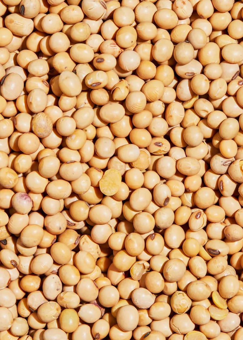 KoRo Bio Sojabohnen 2 kg – Produktbild 2 von 5