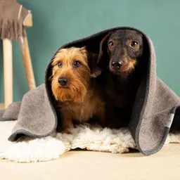 nahtur-design nahtur-design Hundedecke | 100% Schurwolle | natürliche Wärme – Produktbild 1 von 1