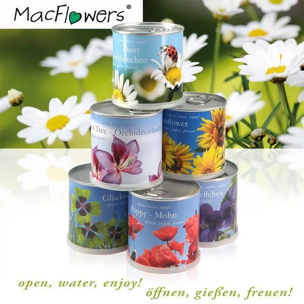 MacFlowers MacFlowers Pflanzen in der Dose - Orchideenbaum – Produktbild 2 von 4