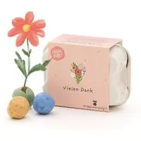 Die Stadtgärtner Die Stadtgärtner 6 bunte Saatkugeln mit Wildblumen-Saatgut im Mini-Eierkarton l Nachhaltige Geschenkidee als Gastgeschenk, Dankeschön & zum Abschied – Produktbild 1 von 1