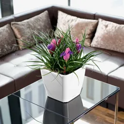 Lechuza® Lechuza® 'Quadro LS 21', weiß, ca. 21 x 21 x H 20 cm – Produktbild 1 von 1