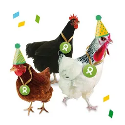 OxfamUnverpackt OxfamUnverpackt Spenden-Geschenk "Gackernde Hühner" (Geburtstagskarte mit Magnet) – Produktbild 1 von 1