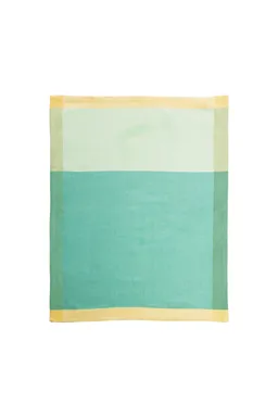 Tranquillo Geschirrtuch BICOLOR green (Bio-Baumwolle) - grün – Produktbild 1 von 1