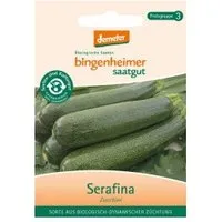 Bingenheimer Saatgut Zucchini Serafina – Produktbild 1 von 1