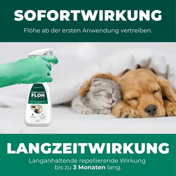 Silberkraft Silberkraft Flohspray Hunde & Katzen – Produktbild 4 von 4