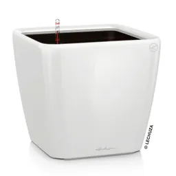 Lechuza® Lechuza® 'Quadro LS 28', weiß, ca. 28 x 28 x H 26 cm – Produktbild 1 von 1