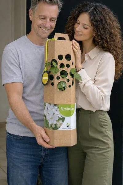 SchenkeinBäumchen SchenkeinBäumchen Birnbaum – Produktbild 3 von 4